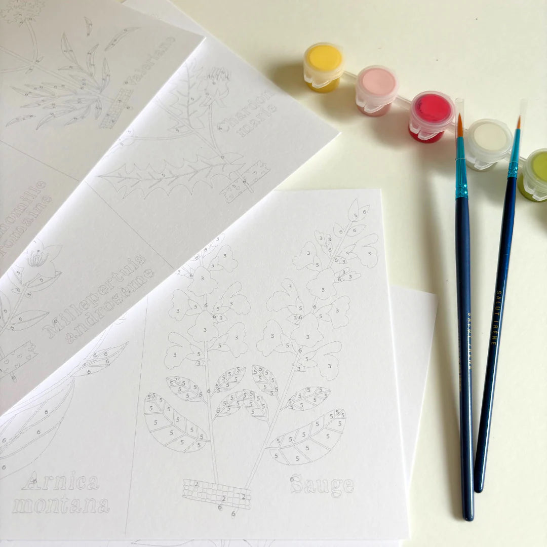 Kit de peinture au numéro 8 cartes - Cueillettes — Salut Irène , Lyon