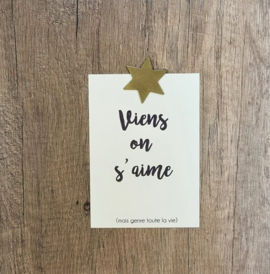 Bijou mural Etoile — Poussière des rues , Lyon