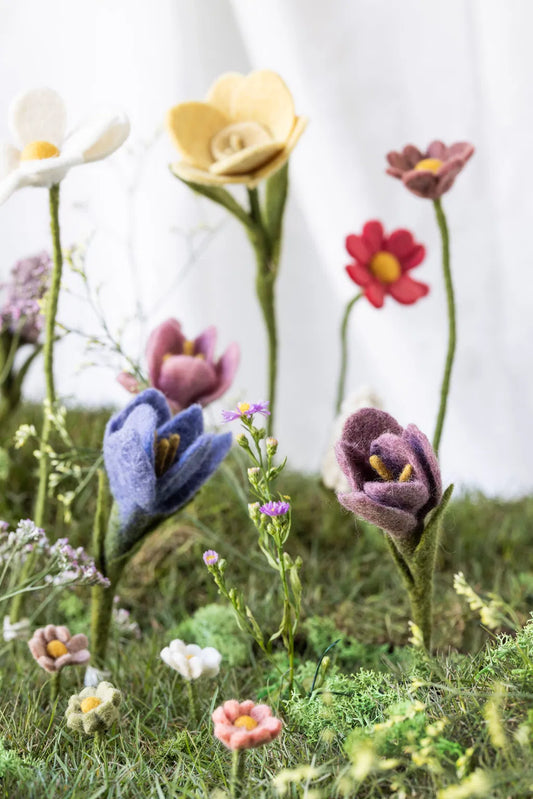 Crocus - Violet — En Gry & Sif , Lyon