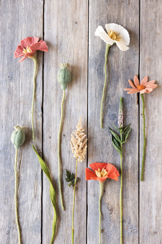 Coquelicot corail — En Gry & Sif , Lyon