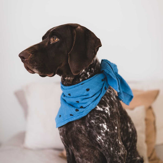 Lange Bianca bleu grec - Coeurs noirs — Rose in April , Lyon