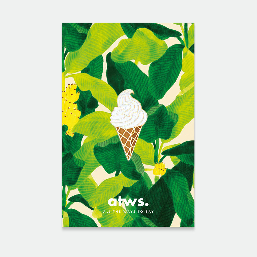 Pin's Ice cream — All the ways to say , Lyon