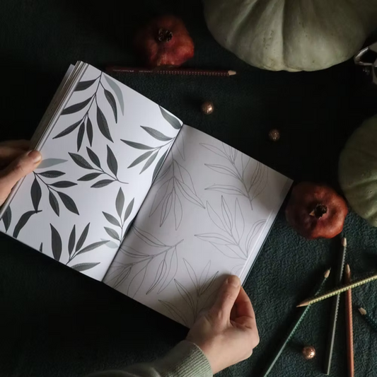 Carnet de coloriage — Poussière des rues , Lyon
