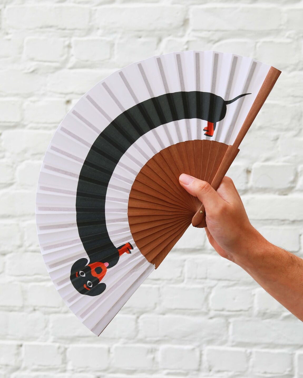 Éventail Teckel — Thomas Gravereau , Lyon