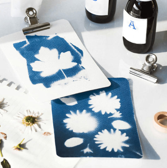 Kit DIY - Mon atelier cyanotype — La petite épicerie , Lyon