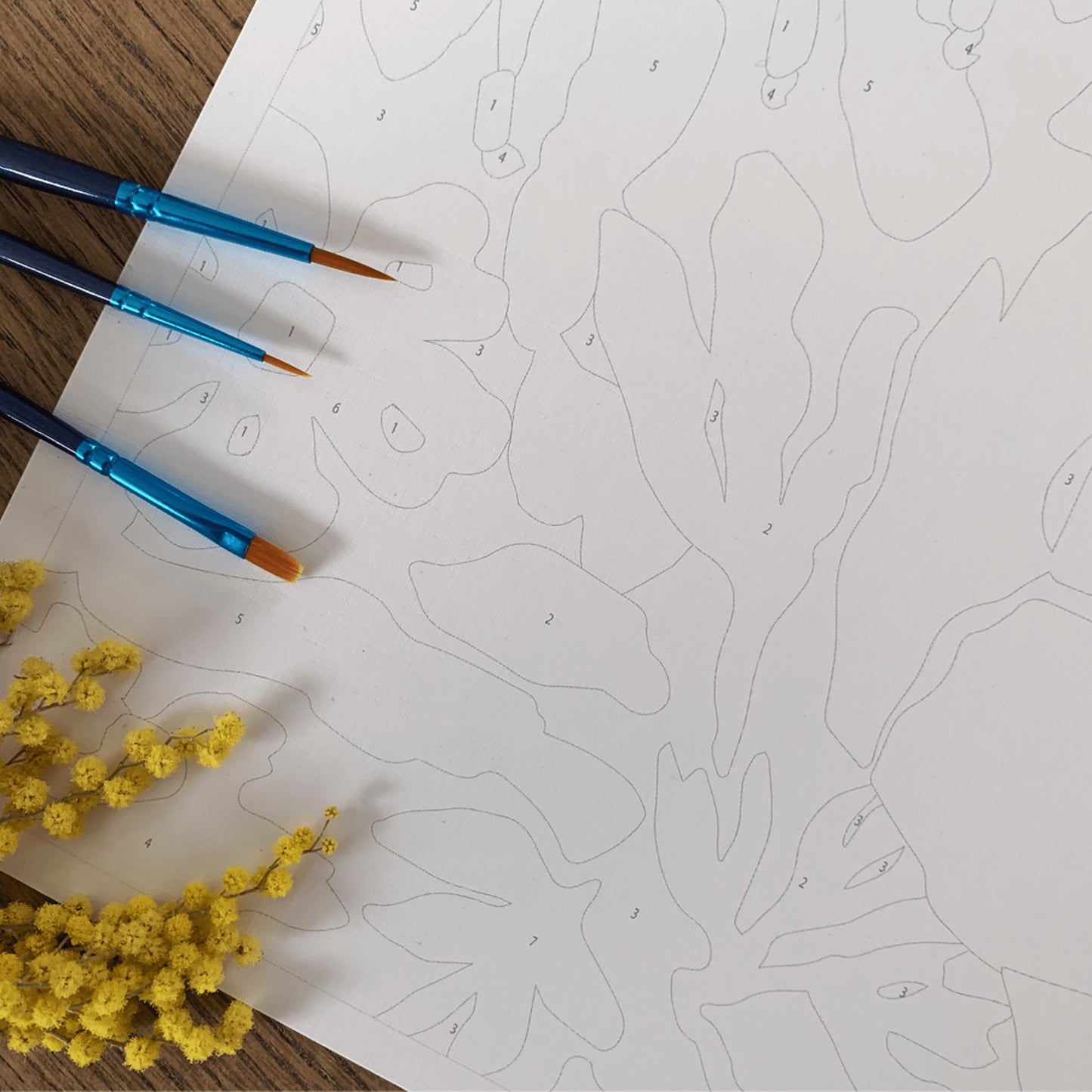 Kit de peinture au numéro 40x60 - Mon herbier — Salut Irène , Lyon