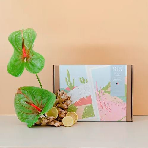 Kit de 2 peintures au numéro A4 - Désert rose — Salut Irène , Lyon