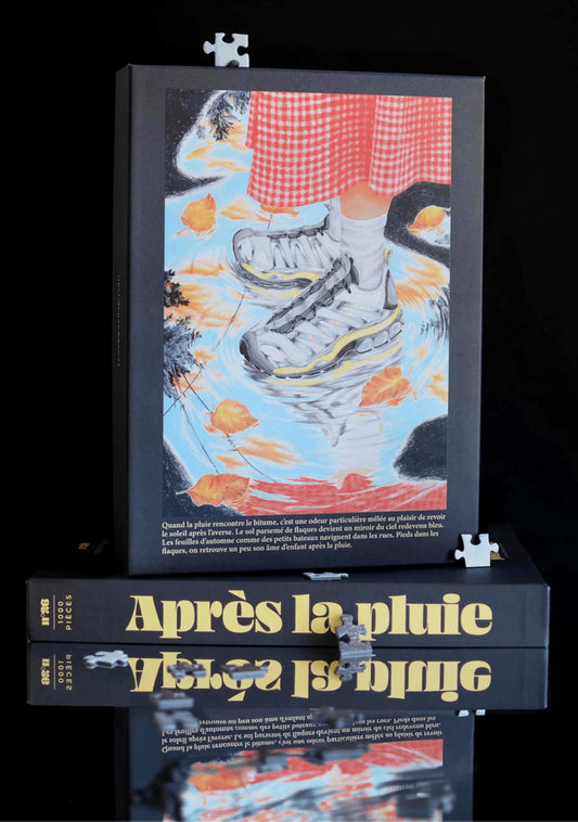 Puzzle Après la pluie — Jour férié , Lyon