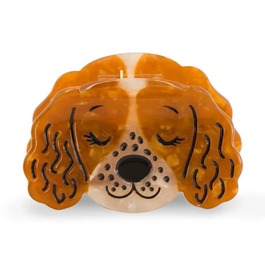 Pince Alba le springer — Luciole et petit pois , Lyon