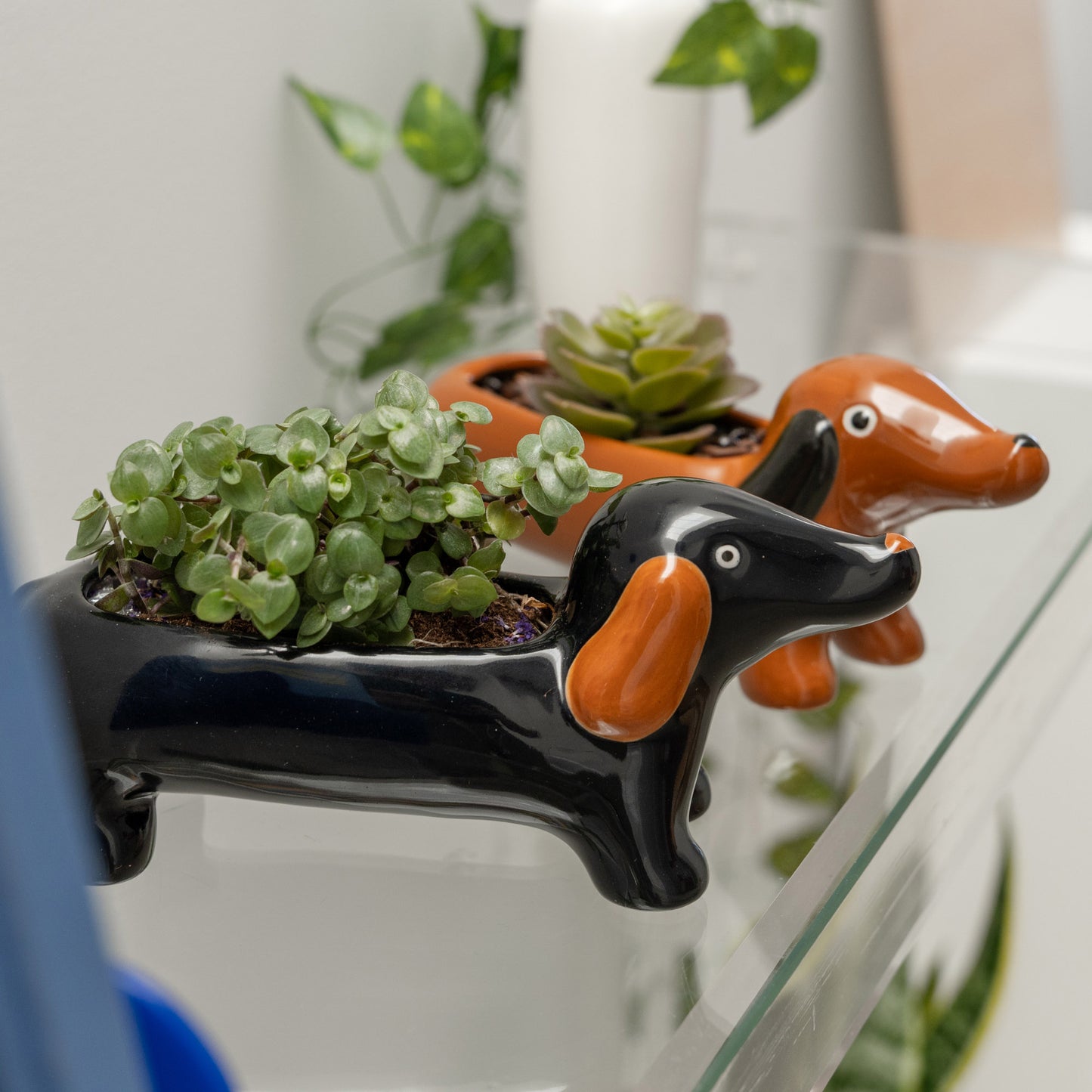 Cache pot Teckel marron