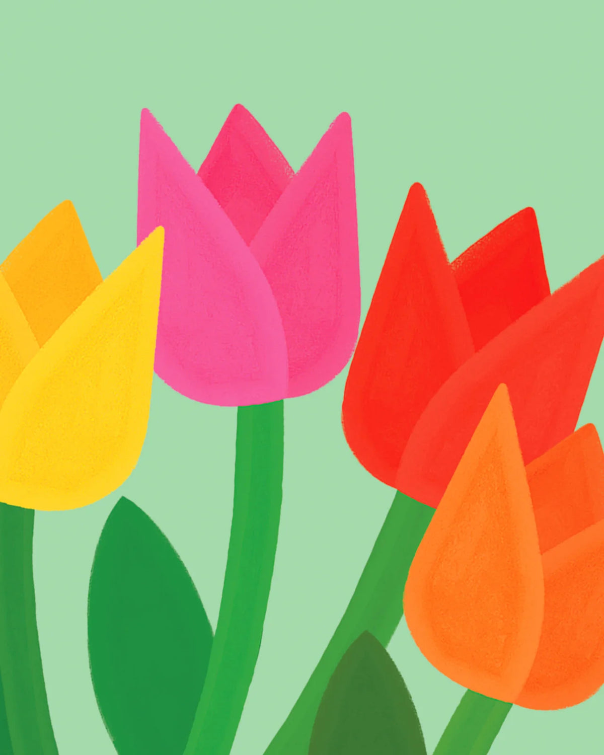 Éventail Fleurs - Tulips