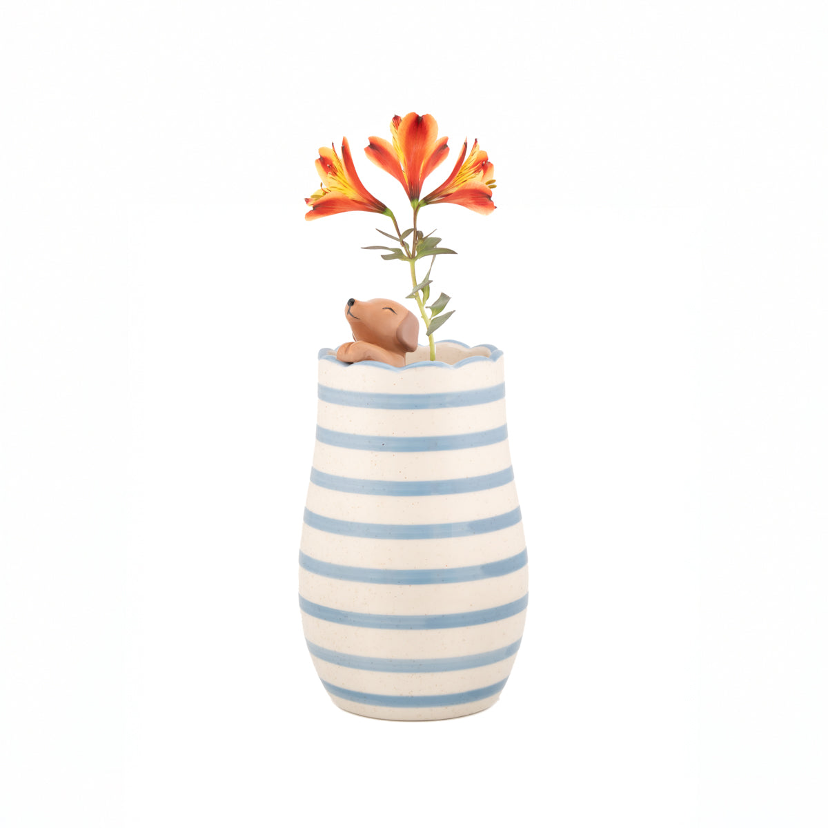 Vase peeking - Sausage dog