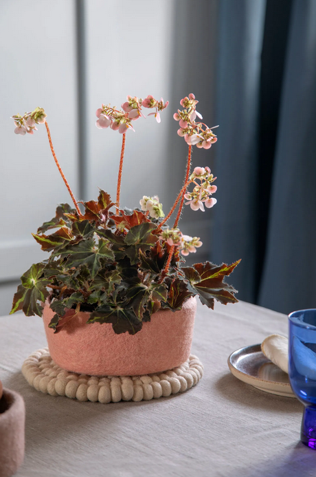 Dessous de plat - Beige