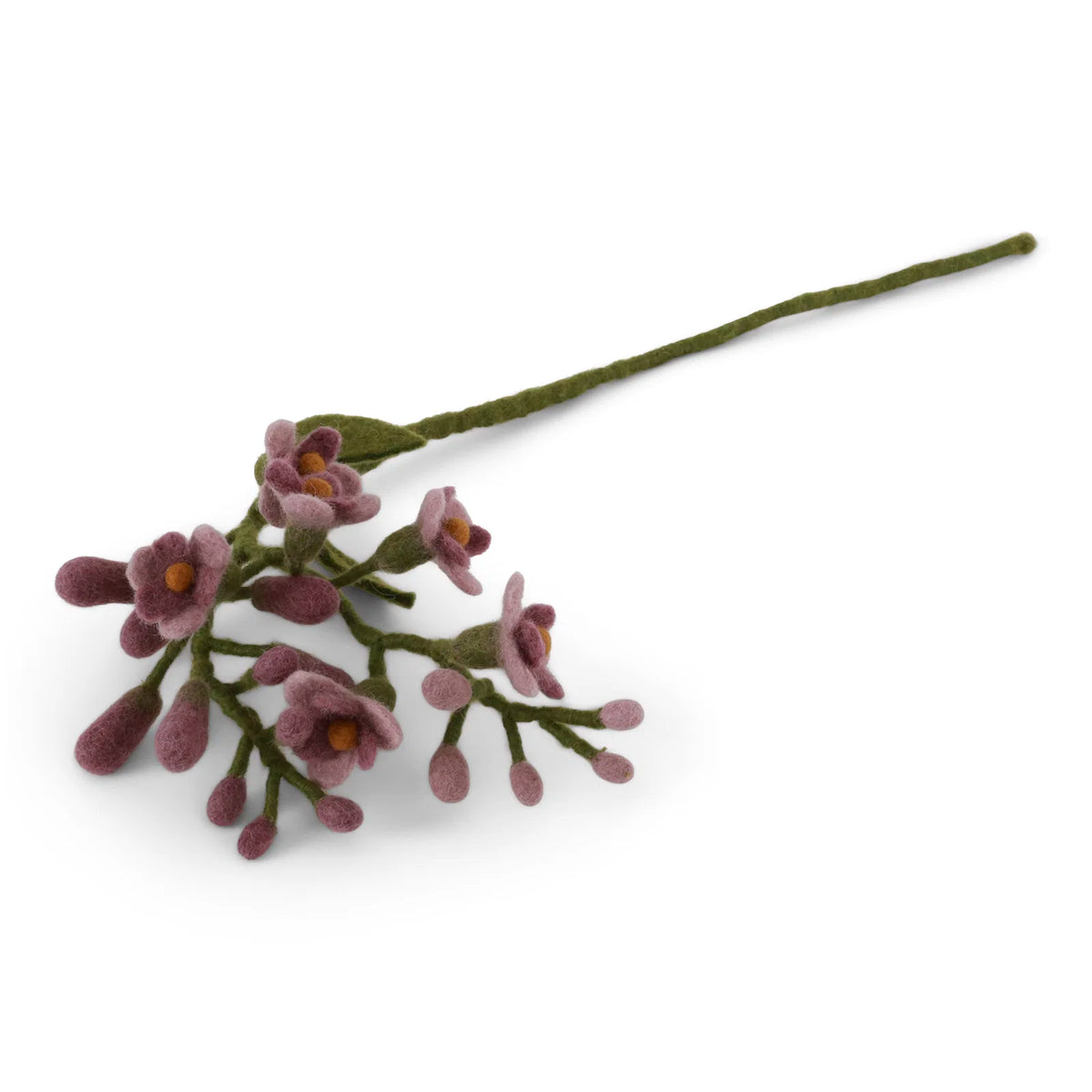 Glycine - Violet poudré
