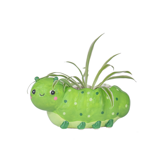 Pot pour mini plante - chenille — Sass and Belle , Lyon