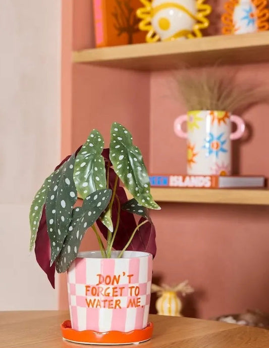 Pot Lior - Squares & Stripes 1