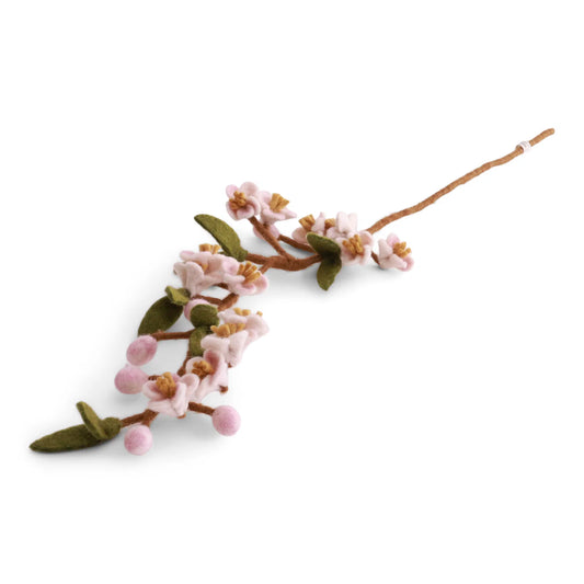 Branche de fleurs de cerisier