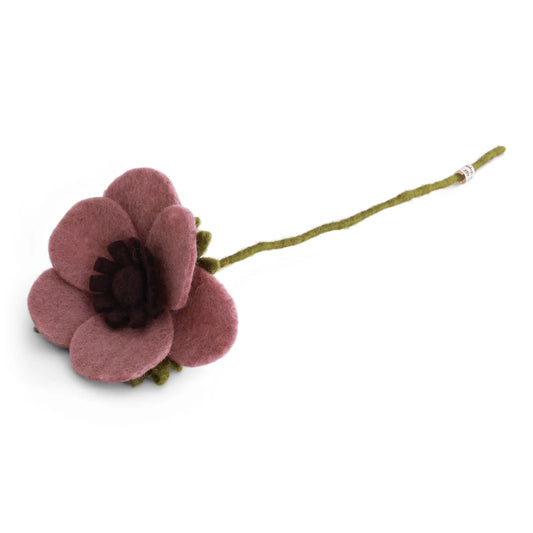Anémone française - Rose poudré