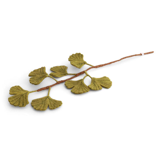 Branche de ginkgo biloba - Vert