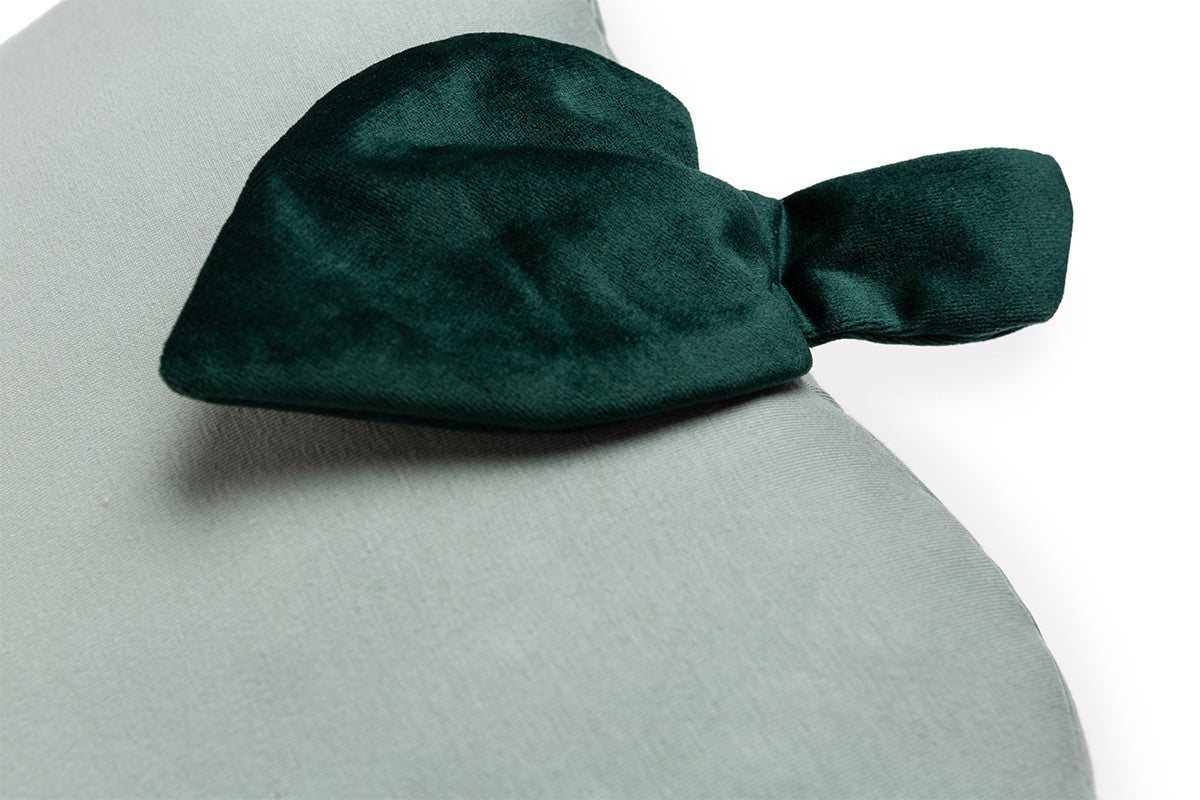 Coussin Pomme