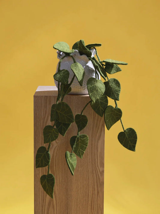 Tige de feuillage Pothos - Vert