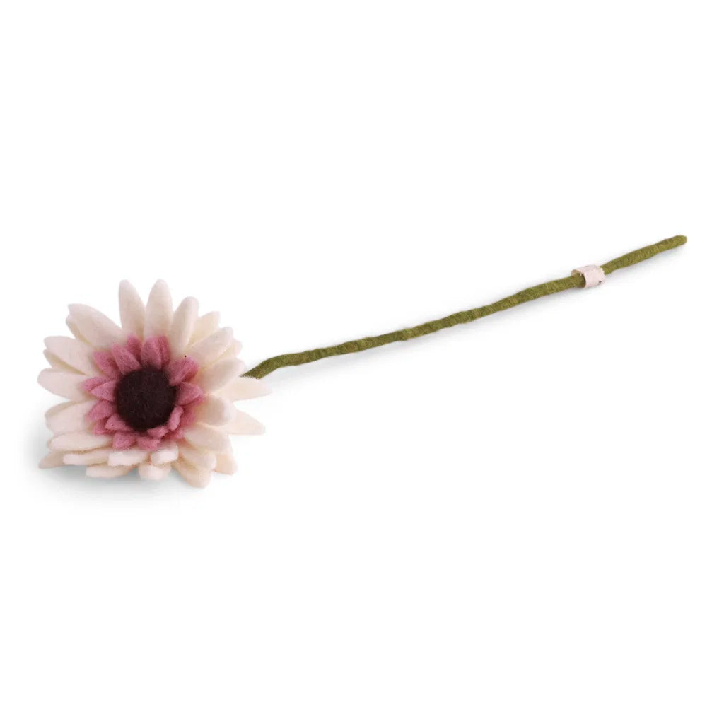Gerbera - Blanc