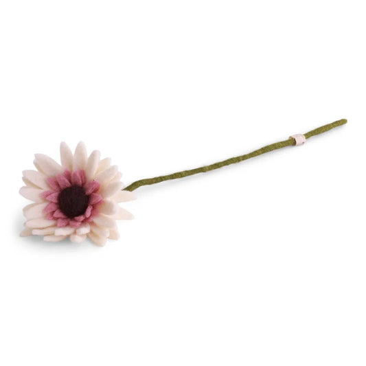 Gerbera - Blanc