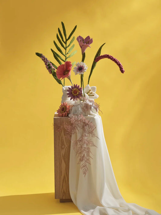 Gerbera - Blanc