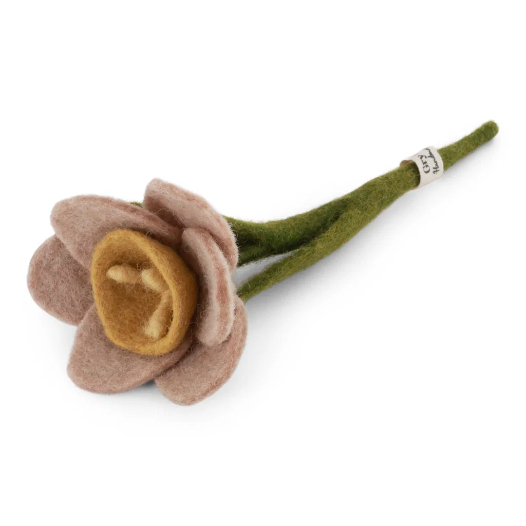 Petite jonquille - Rose clair