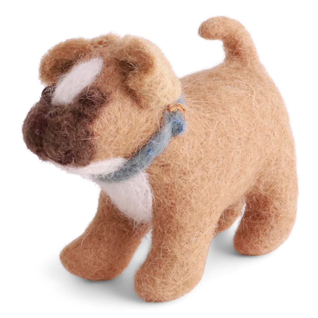 Bouledog français avec collier bleu