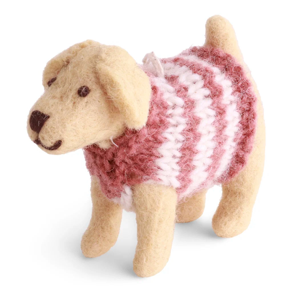 Labrador avec pull tricoté