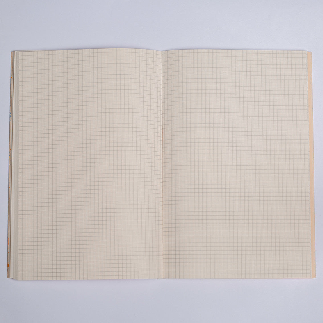 Journal Olympe — Season Paper , Lyon