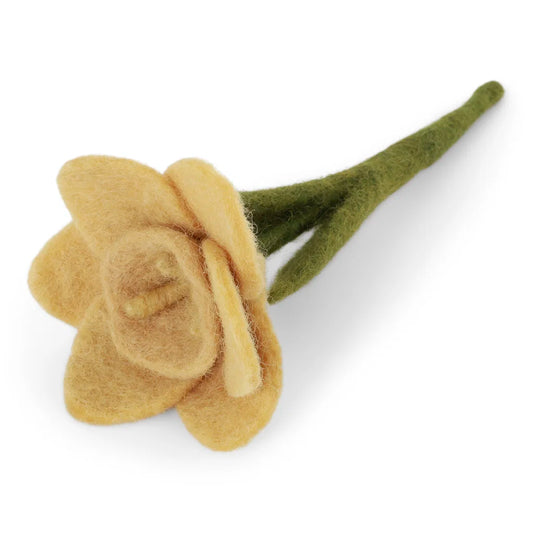 Petite jonquille - Jaune