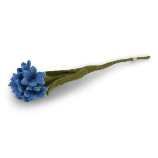 Bleuet - Bleu vif