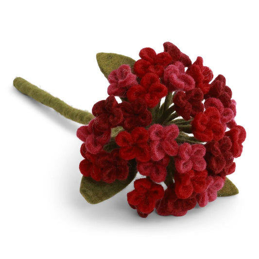 Hortensia - Rouge foncé
