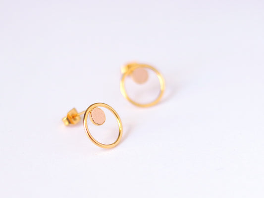 Puces Nil - poudre — Fosseth , Lyon