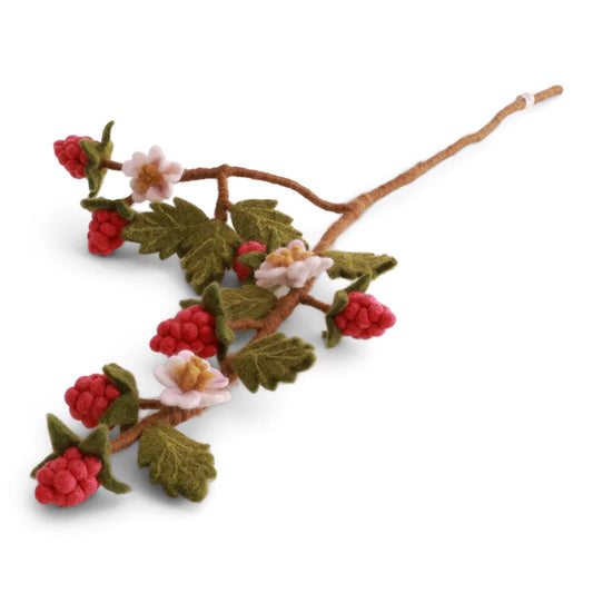 Branche de framboises