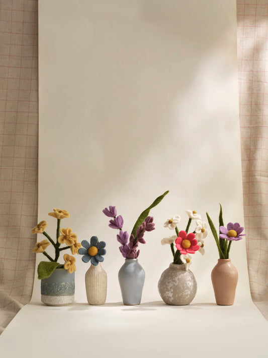 Myosotis - Jaune clair