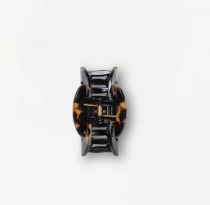 Pince Sophie - châtaigne — Hydra Studio , Lyon