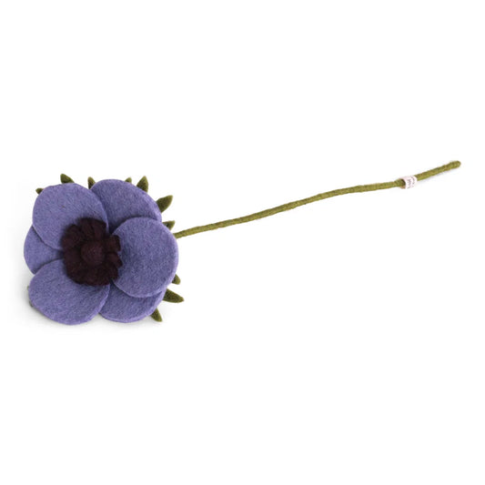 Anémone française - Violet