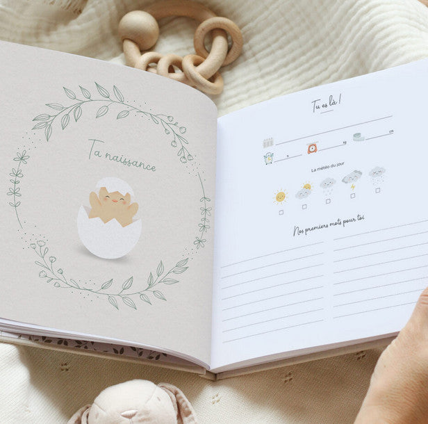 Livre Souvenirs de la première année de bébé — Zü , Lyon