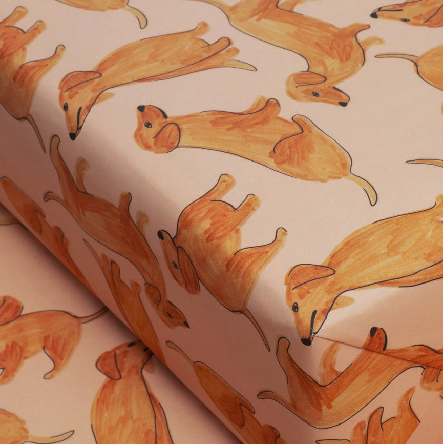 Papier cadeau Teckels — Season Paper , Lyon