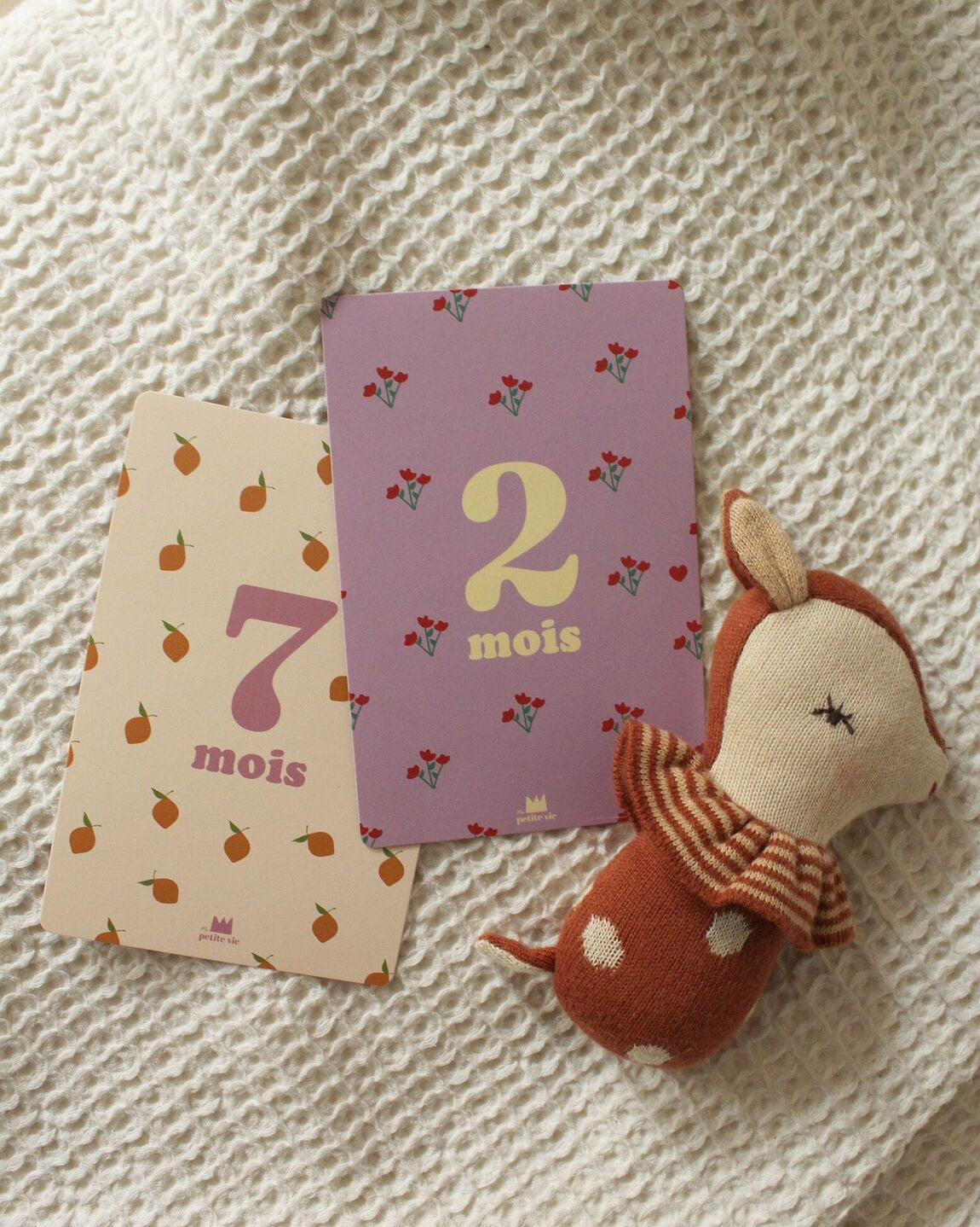 Cartes étapes - Mes 12 premiers mois