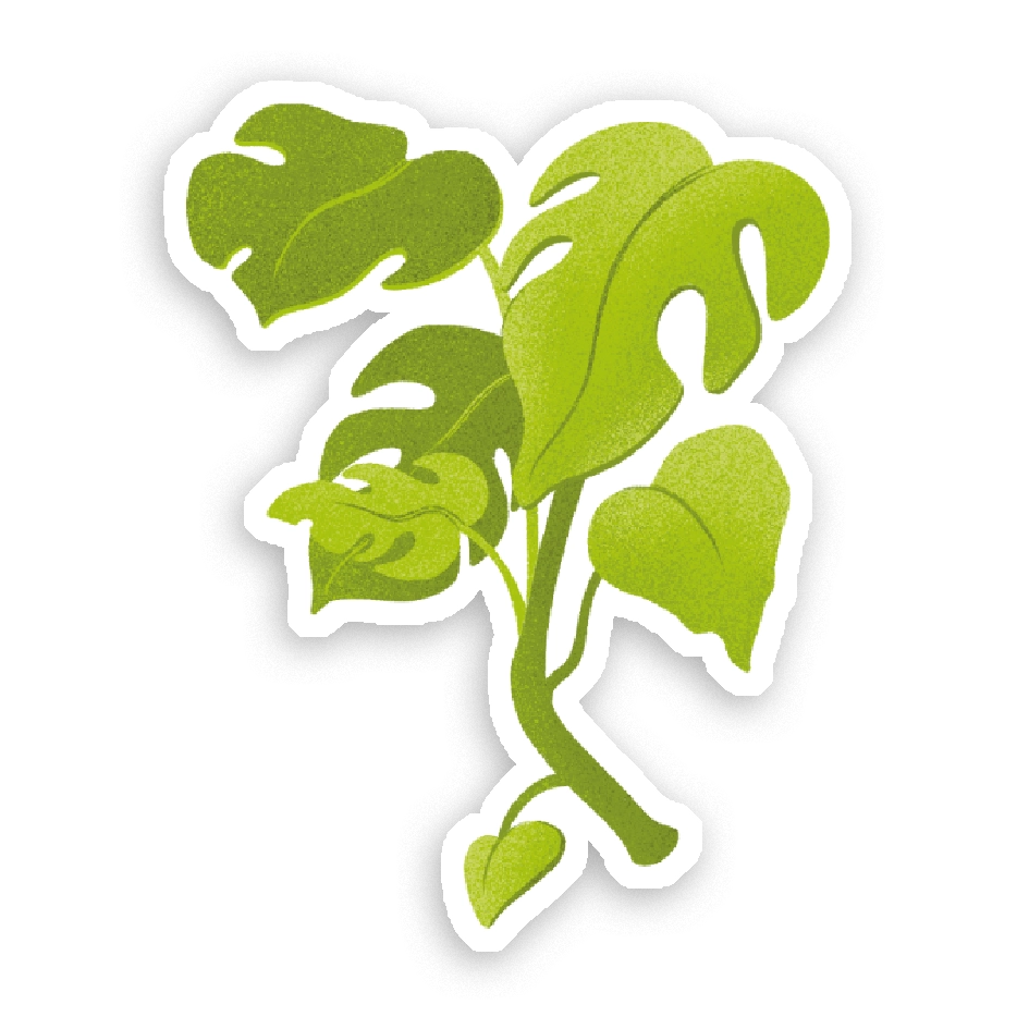 Sticker Monstera