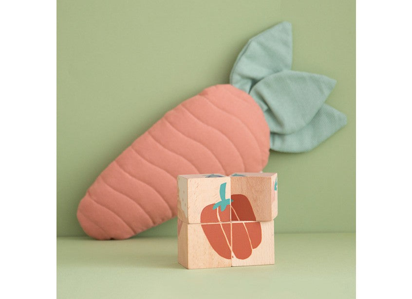 Cubes en bois - légumes avec sa jolie trousse
