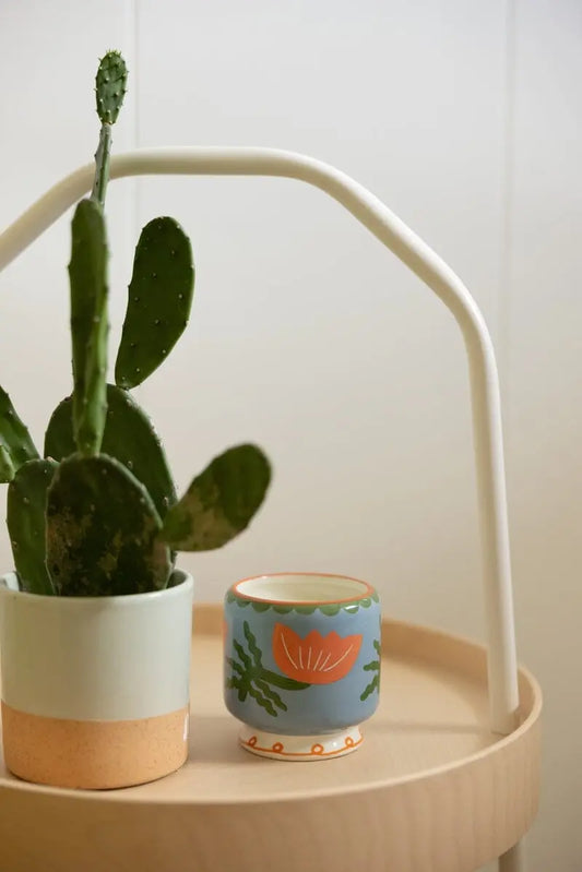 Bougie A dopo - Flower - Cactus flower