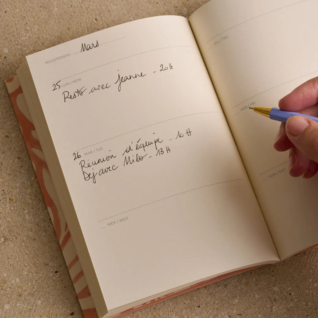 Agenda perpétuel Dalmatiens — Season Paper , Lyon