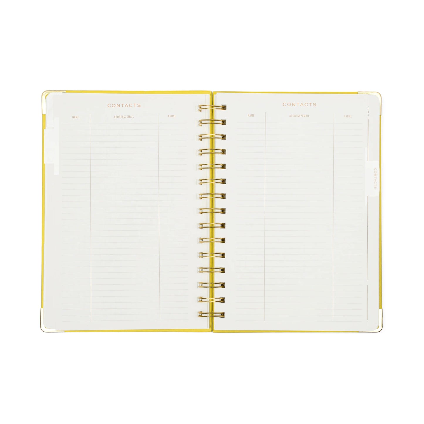 Planner perpétuel 13 mois - My time