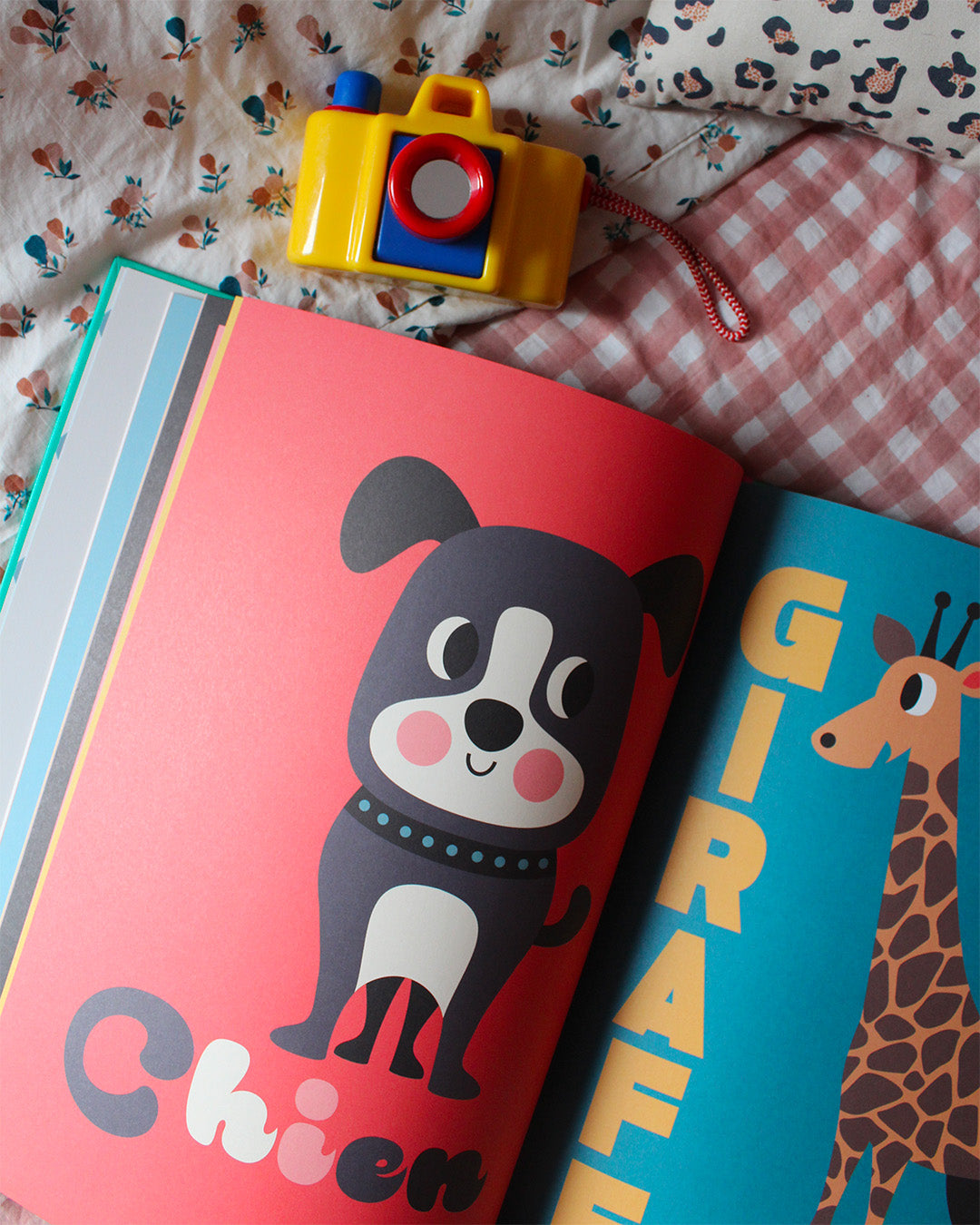 Livre Animaux édition collector