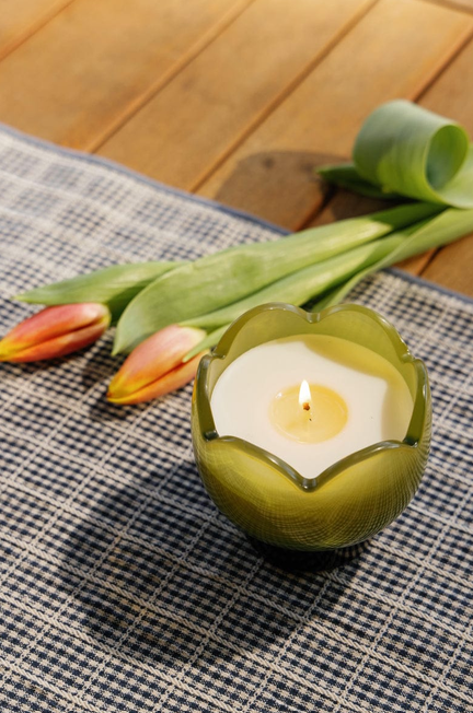 Bougie Tulip - Verbena & Lemongrass